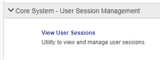View User Sessions